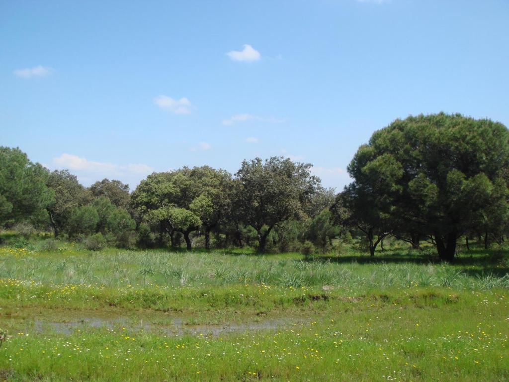 San Jose Country house *